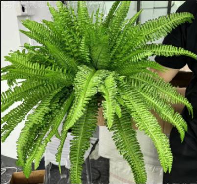 Artificial Boston Fern
