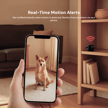 Mini Indoor Camera