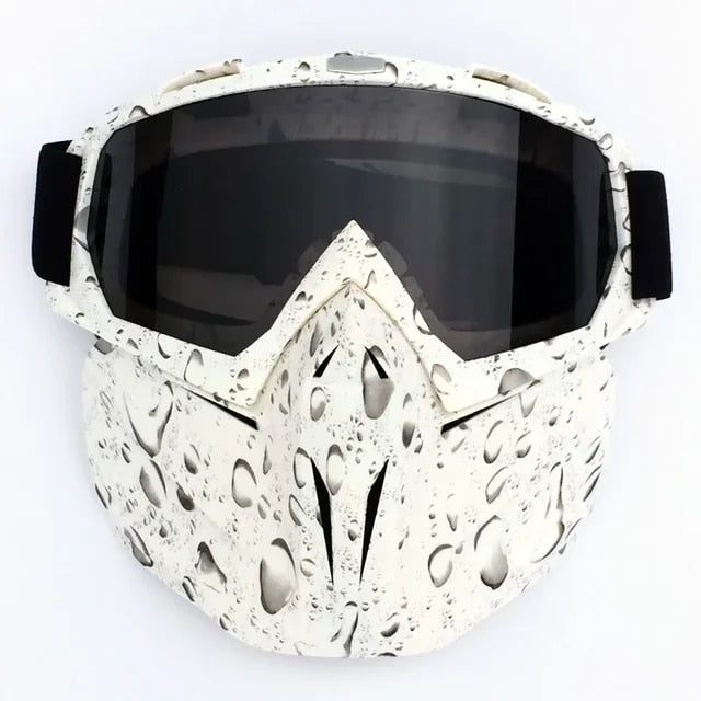 Ski Goggles Mask