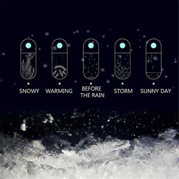 Storm Glass Barometer