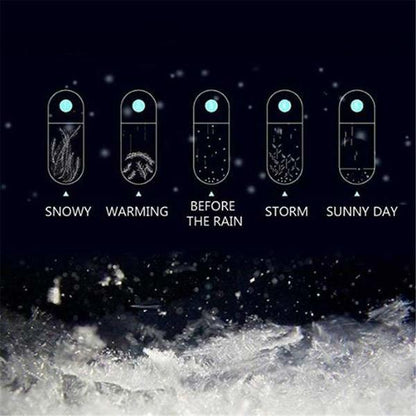 Storm Glass Barometer
