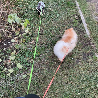 Dual Dog Leash